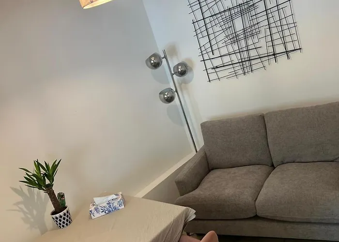 Superbe Entier 43 M2 Au Centre-ville Ideal 1 A 2 Personnes