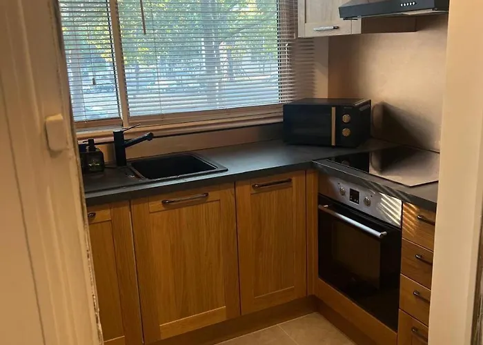 Superbe Entier 43 M2 Au Centre-ville Ideal 1 A 2 Personnes Daire *