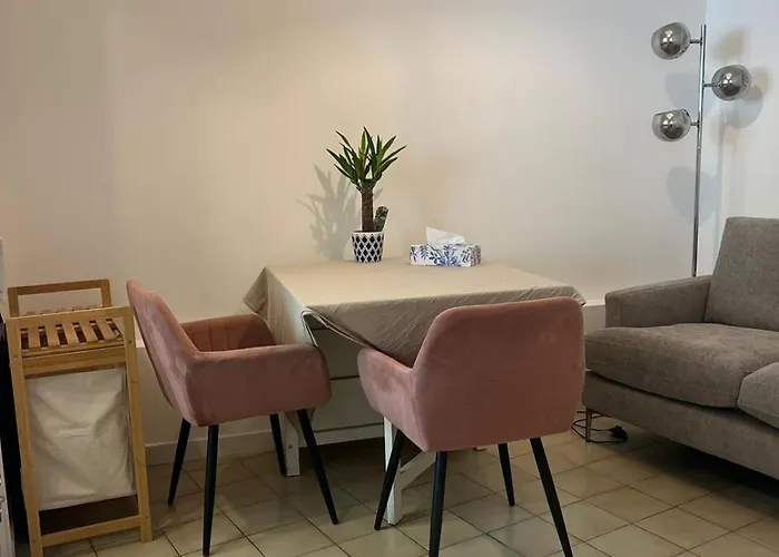 Daire Superbe Entier 43 M2 Au Centre-ville Ideal 1 A 2 Personnes